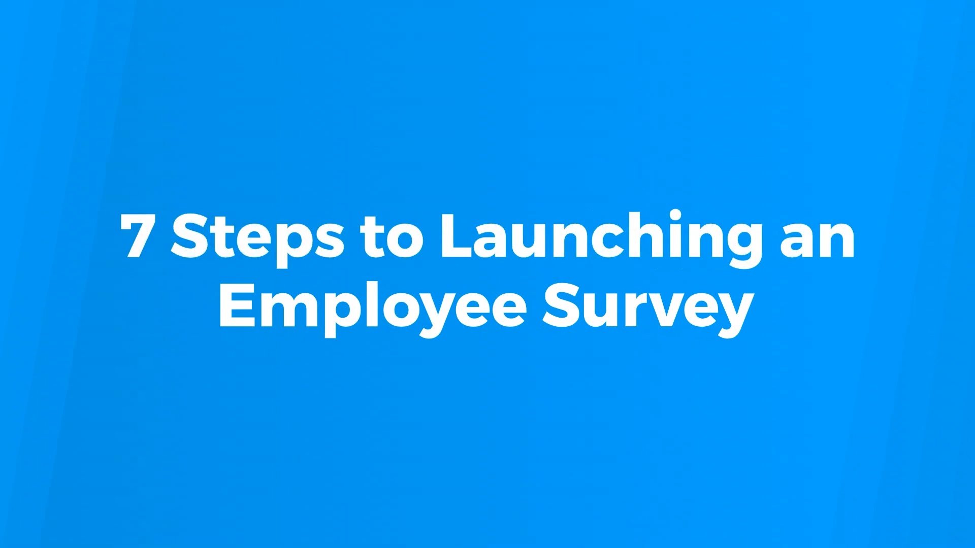 7 Steps to Launching an Employee Survey