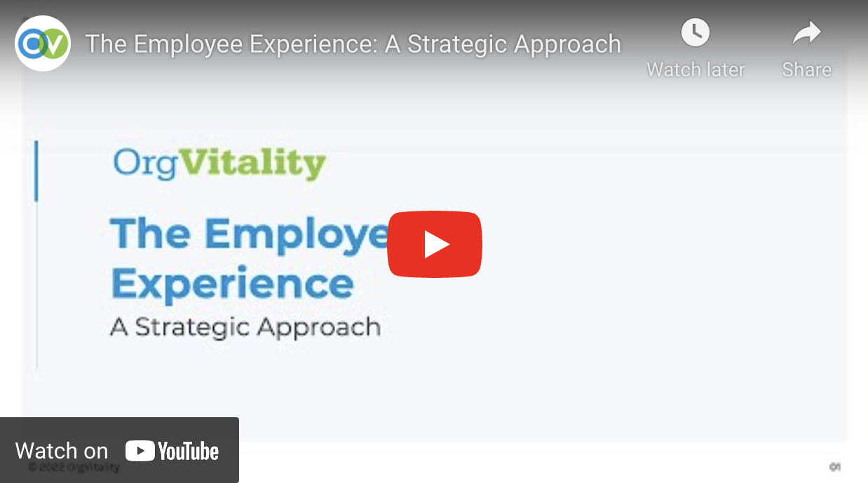 The Employee Experience: A Strategic Approach