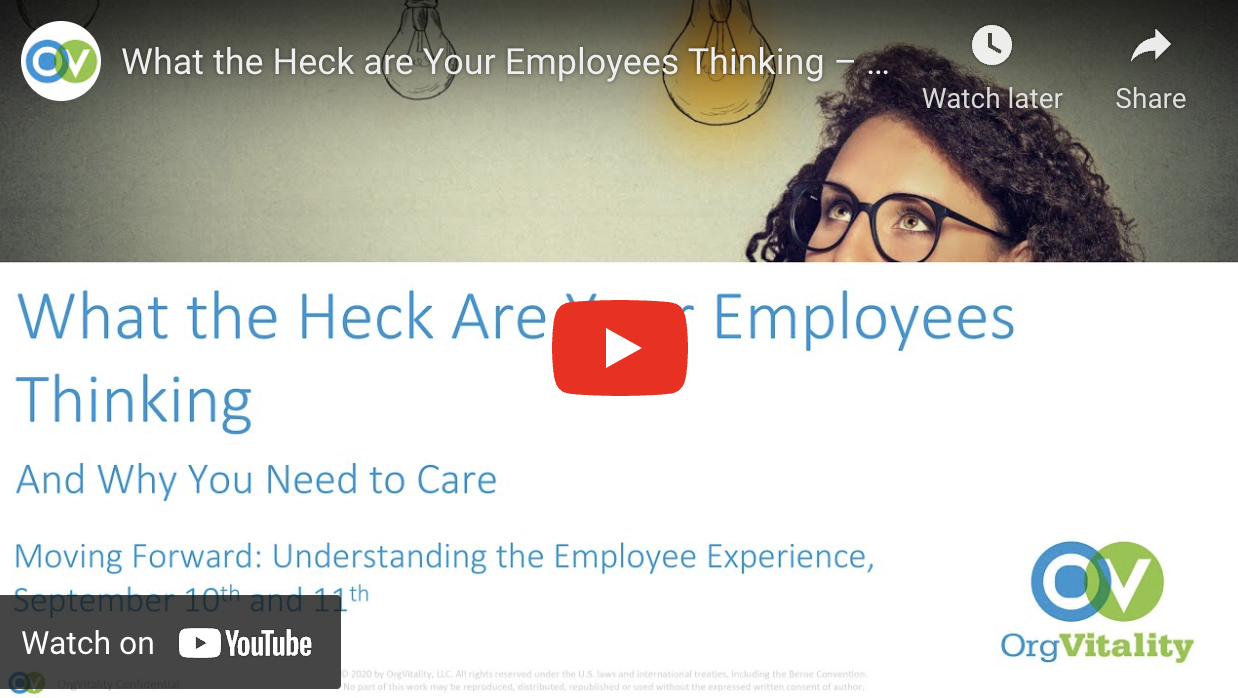 What the Heck are Your Employees Thinking – and Why You Need to Care